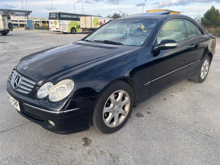 WhatsApp Image 2026-02-19 at 10.06.36 PM