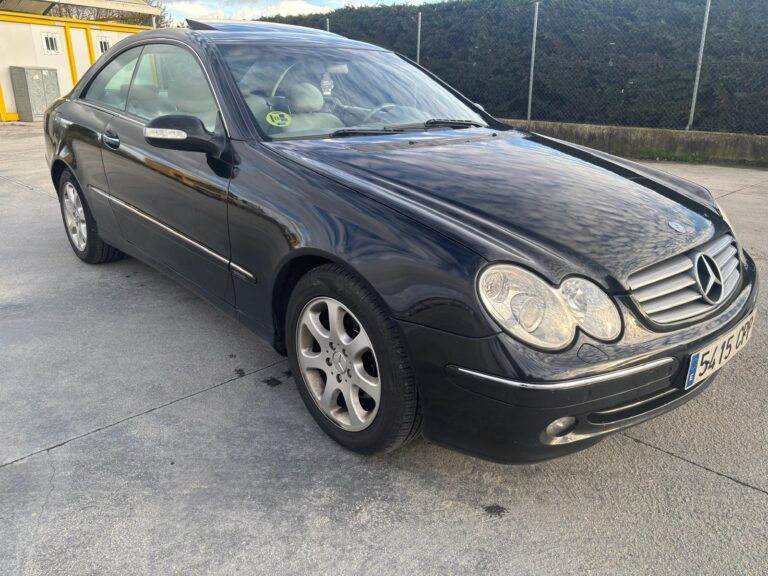 WhatsApp Image 2026-02-19 at 10.06.40 PM