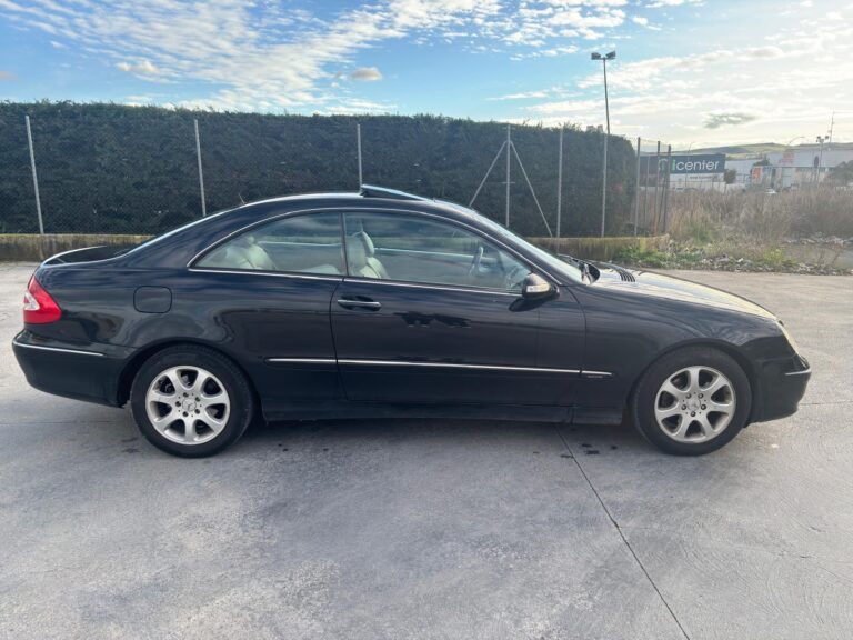 WhatsApp Image 2026-02-19 at 10.06.41 PM (1)