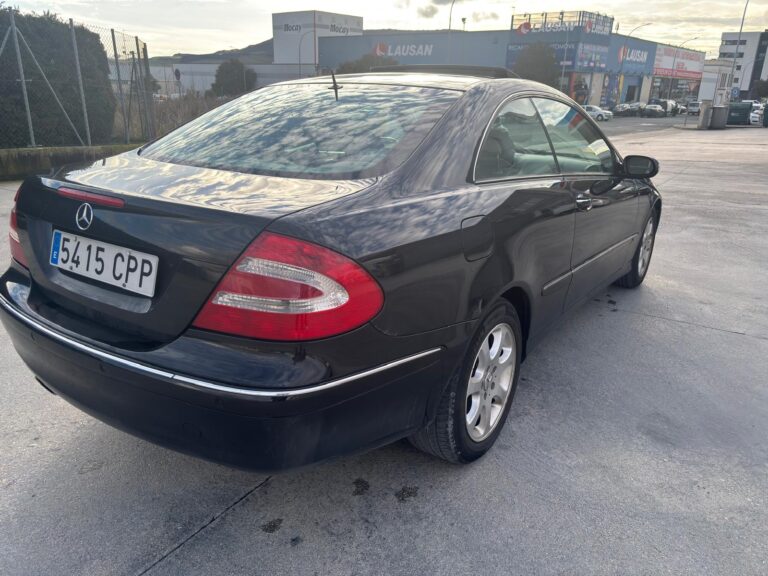 WhatsApp Image 2026-02-19 at 10.06.42 PM