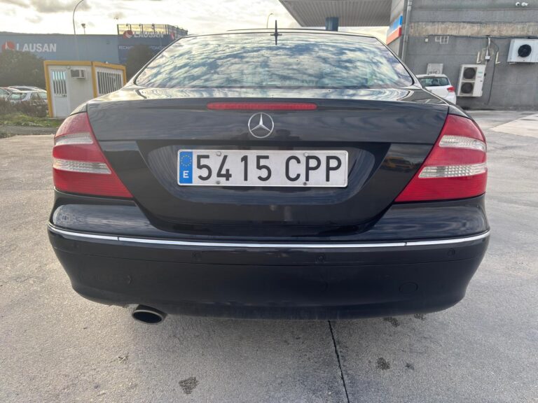 WhatsApp Image 2026-02-19 at 10.06.43 PM