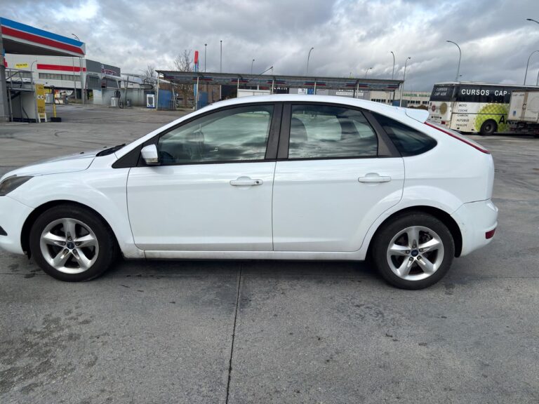 WhatsApp Image 2026-02-19 at 8.50.53 PM